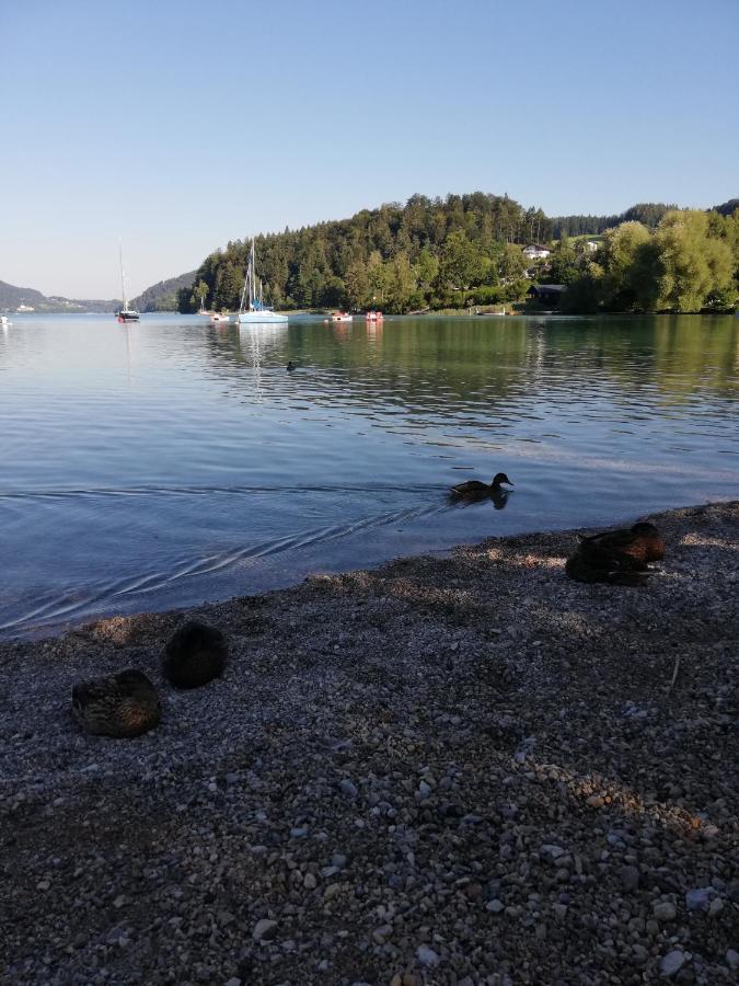 Feichtingerbauer Apartamento Fuschl am See Exterior foto